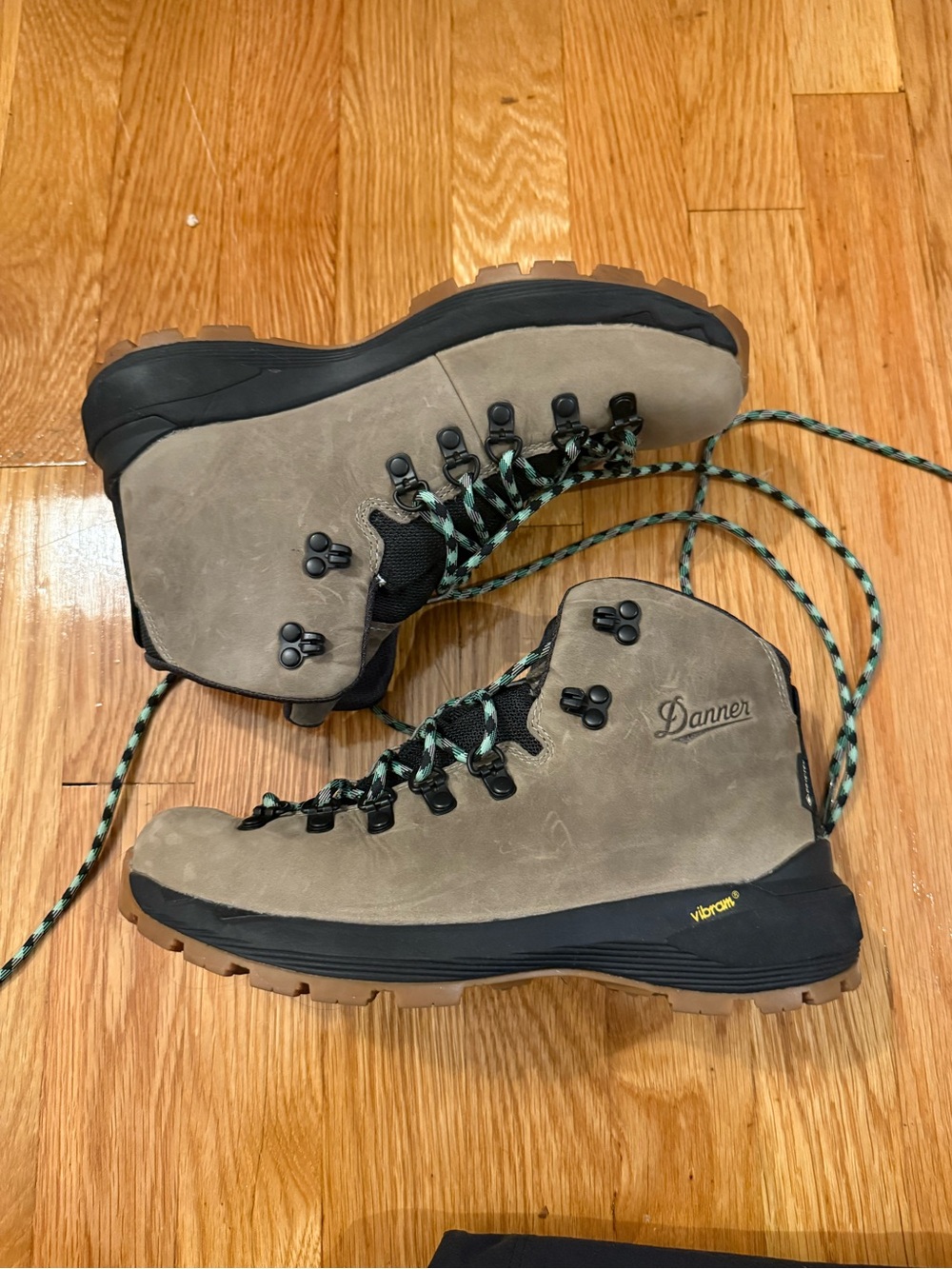 NWB Danner Women’s Mountain 600 EVO